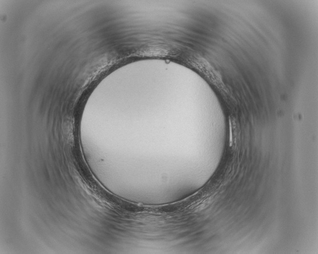 X0000087380300200705111742