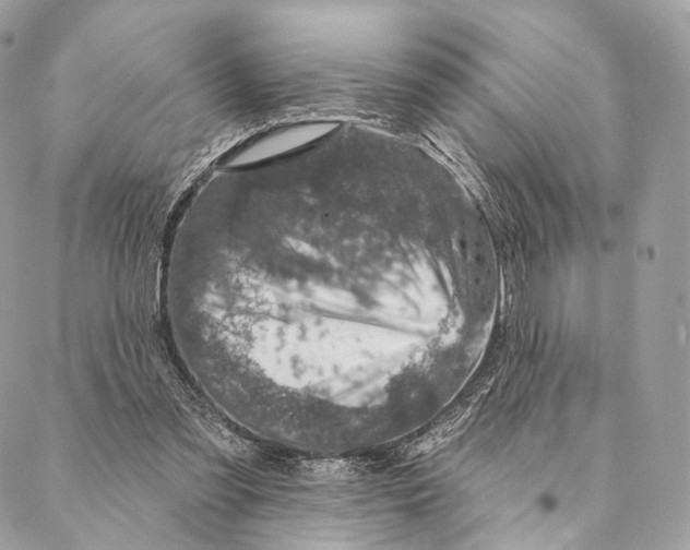 X0000087380301200705111742