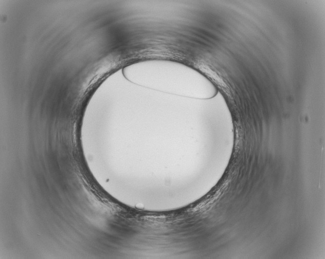 X0000087380302200705111742