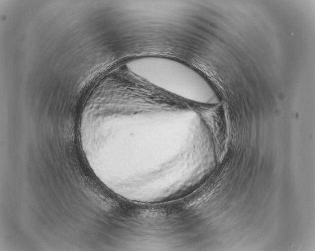 X0000087380303200705111742