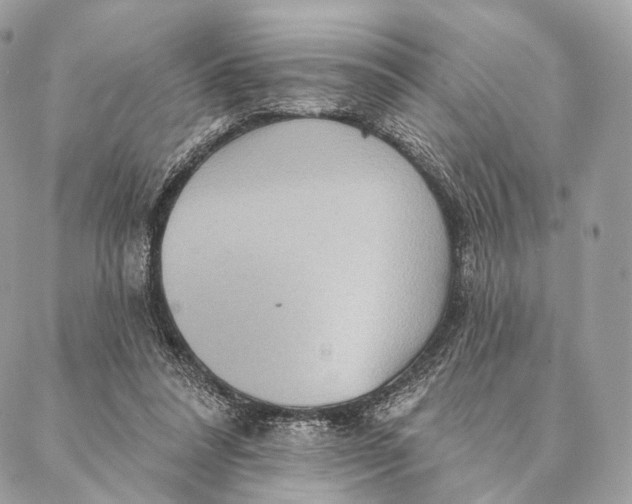 X0000087380304200705111742