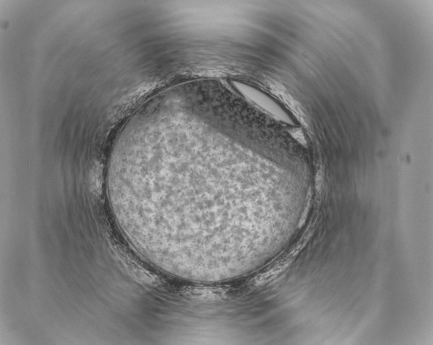 X0000087380305200705111742