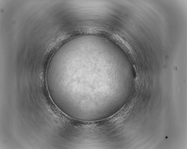 X0000087380306200705111742