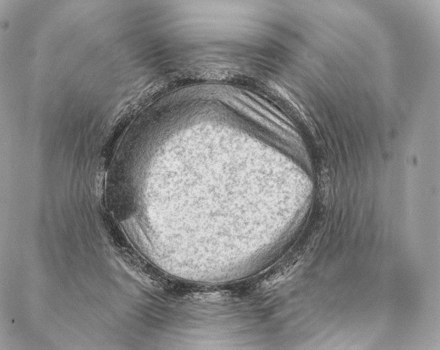 X0000087380307200705111742