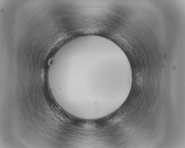 X0000087380308200705111742