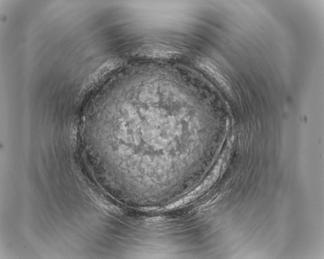 X0000087380309200705111742