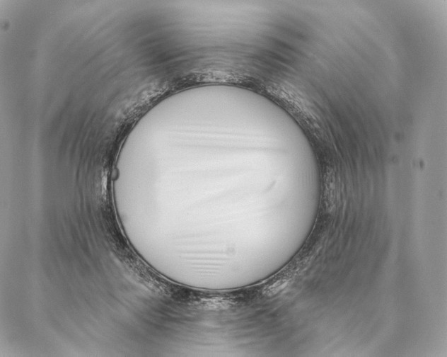 X0000087380310200705111742