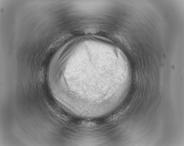 X0000087380311200705111742