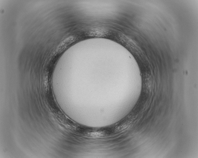 X0000087380312200705111742