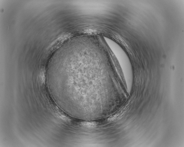 X0000087380313200705111742