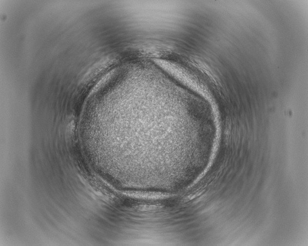 X0000087380314200705111742