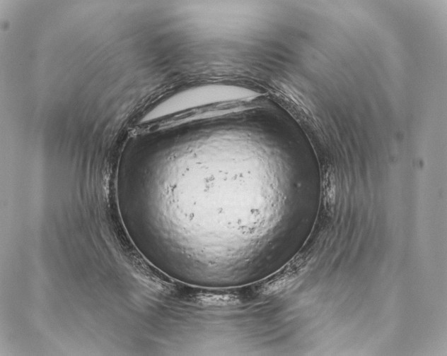 X0000087380315200705111742