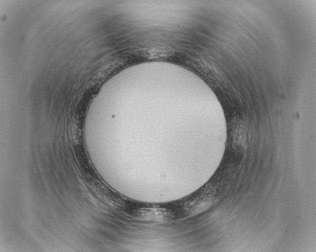 X0000087380316200705111742