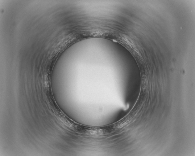 X0000087380317200705111742