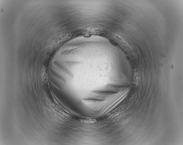 X0000087380318200705111742