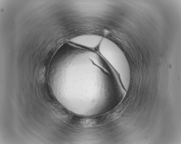 X0000087380319200705111742