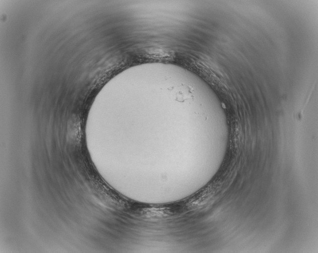 X0000087380320200705111742