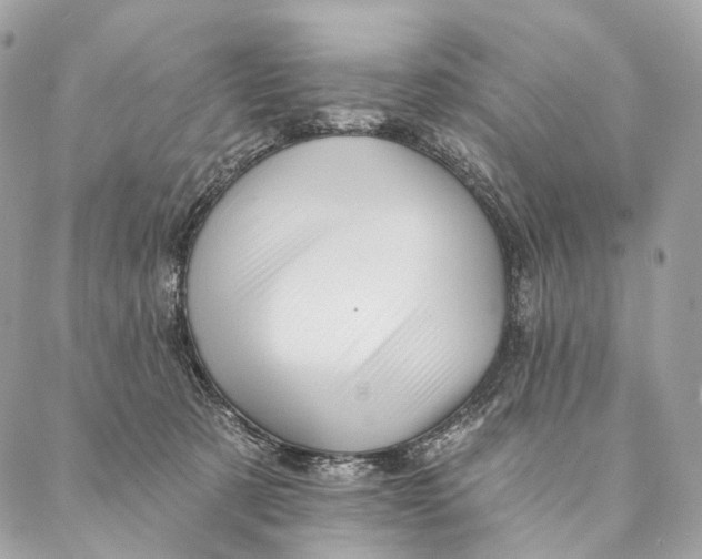 X0000087380321200705111742