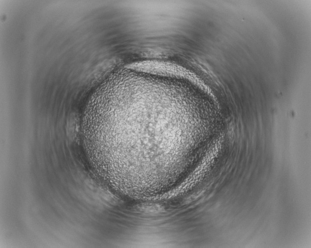 X0000087380322200705111742