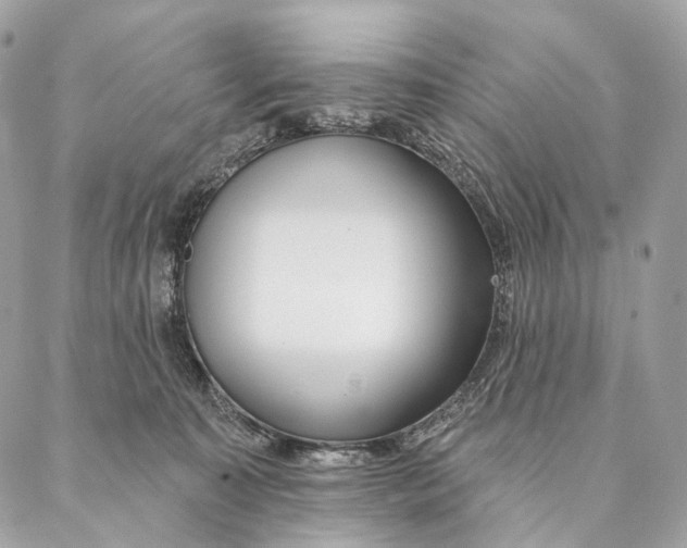 X0000087380323200705111742