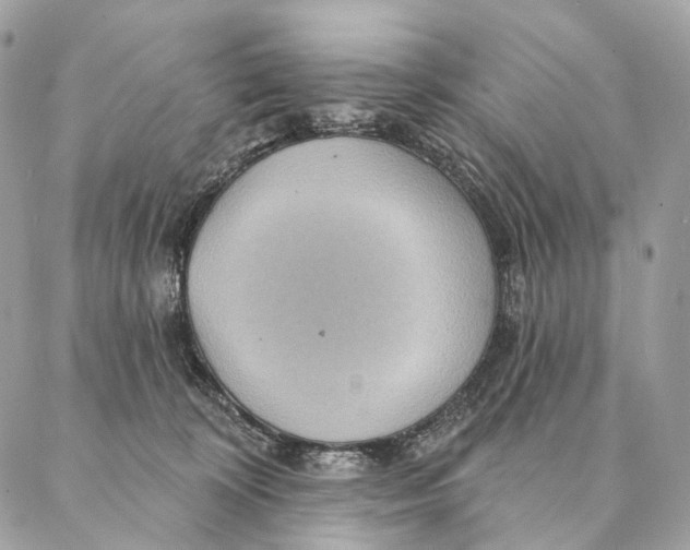 X0000087380324200705111742