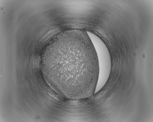 X0000087380325200705111742