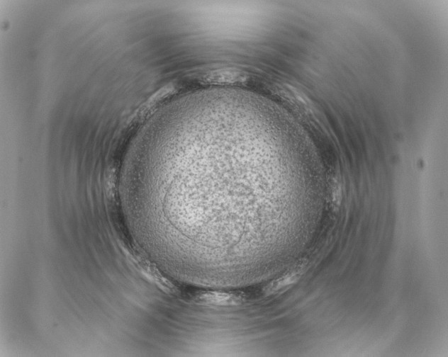 X0000087380326200705111742