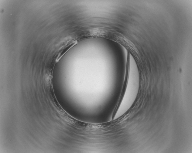 X0000087380329200705111742