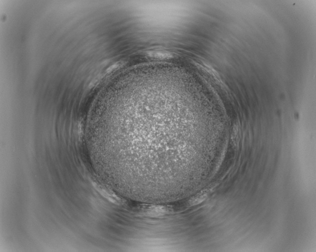 X0000087380330200705111742