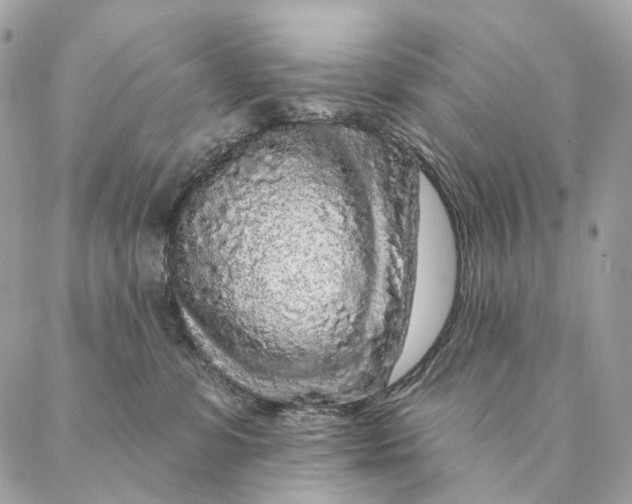 X0000087380331200705111742