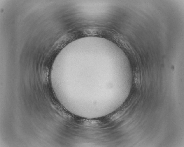 X0000087380332200705111742