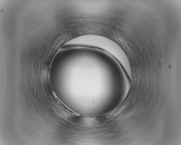 X0000087380333200705111742