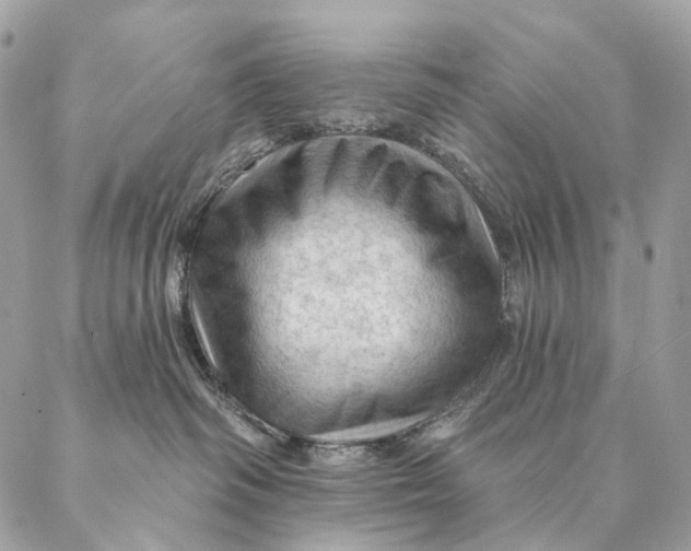 X0000087380334200705111742