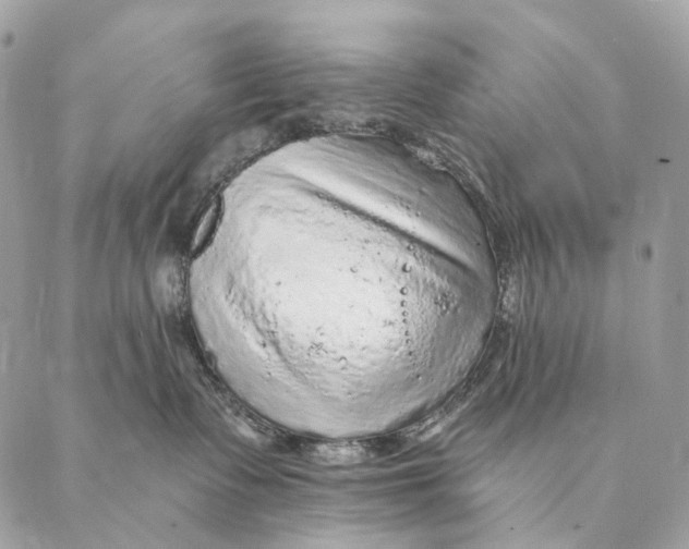 X0000087380335200705111742