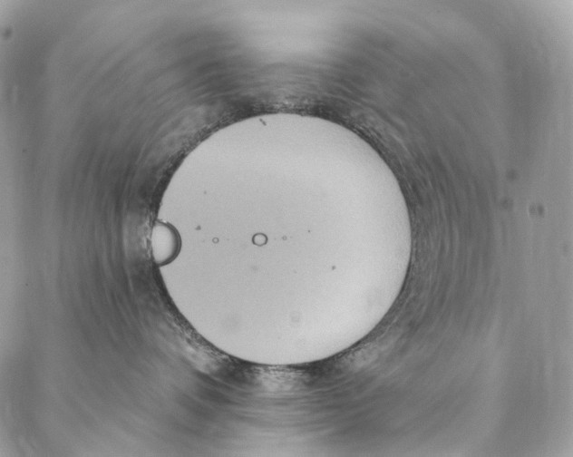 X0000087380336200705111742