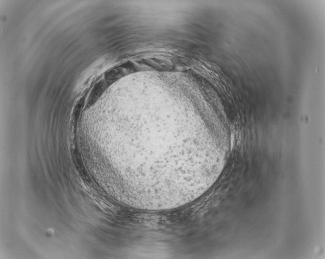 X0000087380339200705111741