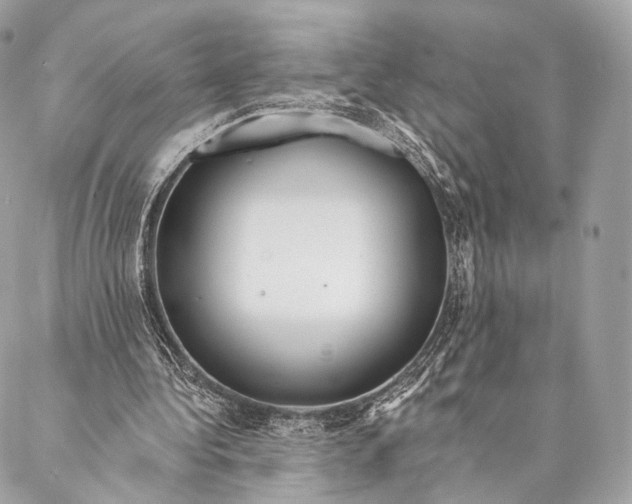 X0000087380340200705111741