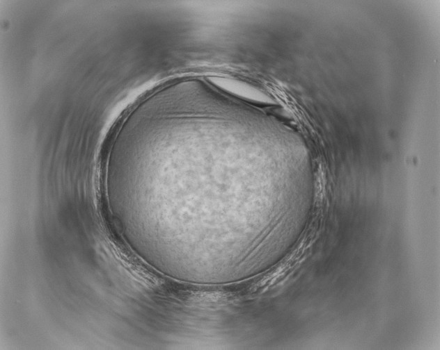 X0000087380342200705111741