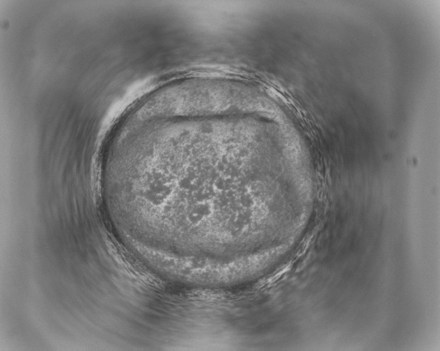 X0000087380343200705111741