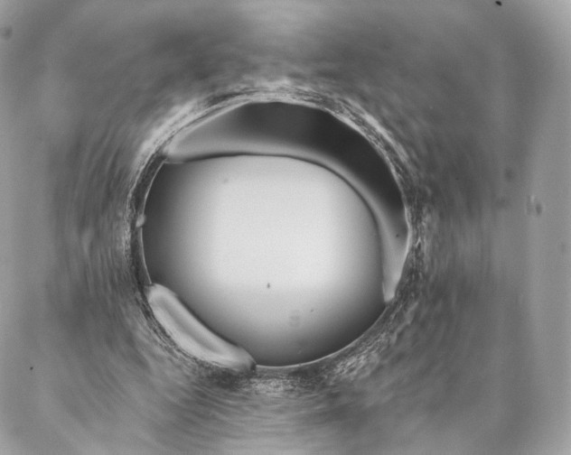 X0000087380344200705111741