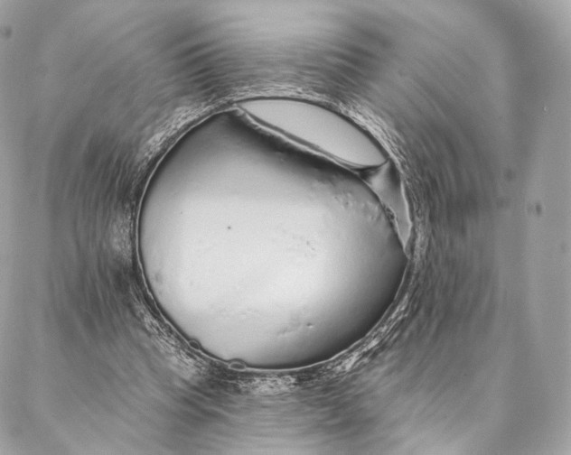 X0000087380345200705111741