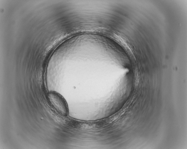 X0000087380346200705111741