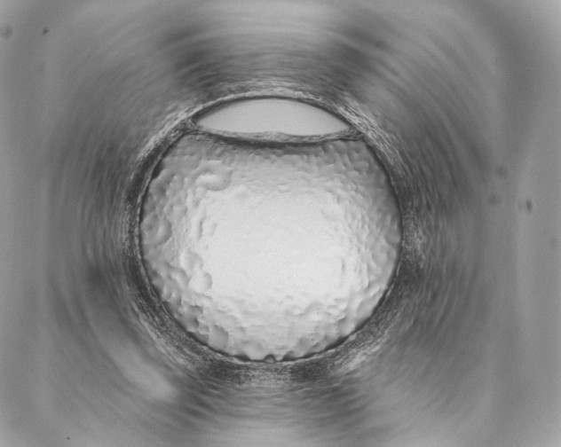 X0000087380347200705111741