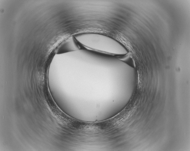 X0000087380348200705111741