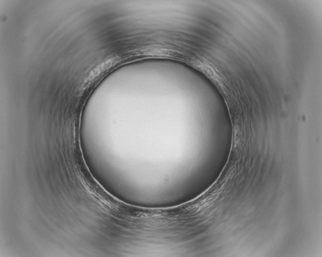 X0000087380349200705111741