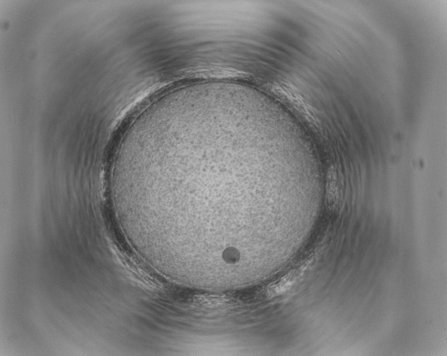 X0000087380351200705111741