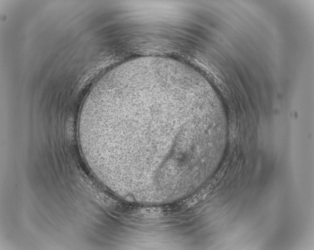 X0000087380353200705111741