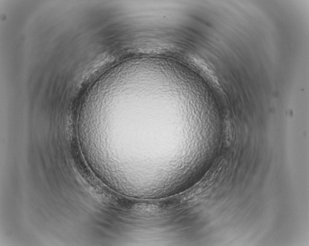 X0000087380354200705111741