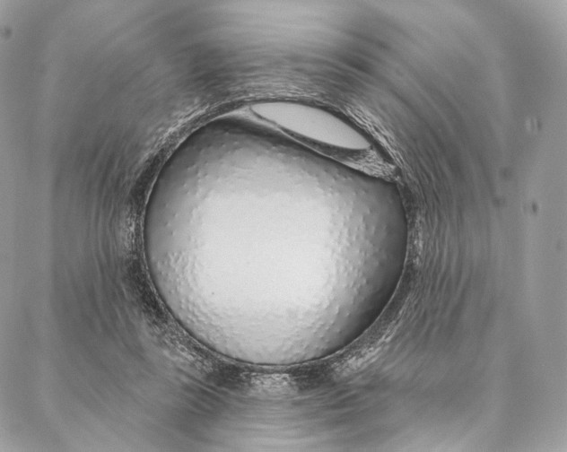 X0000087380355200705111741