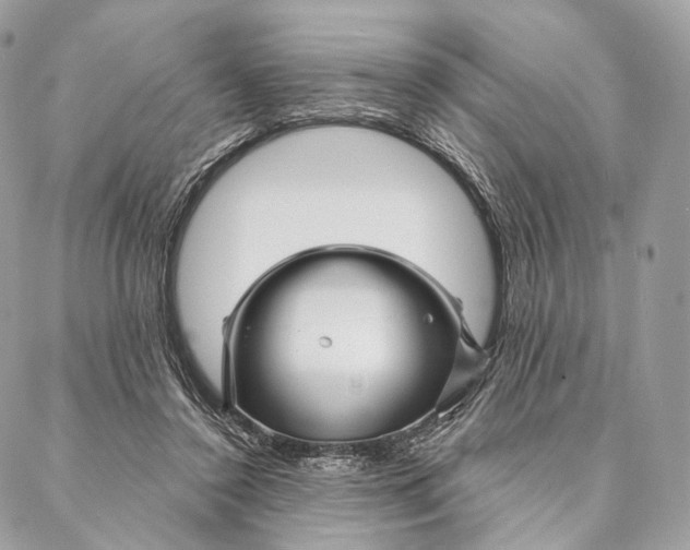 X0000087380356200705111741